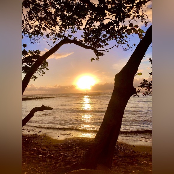 Meet your Posher, Pineapple Betsy - Picture 10 of 12